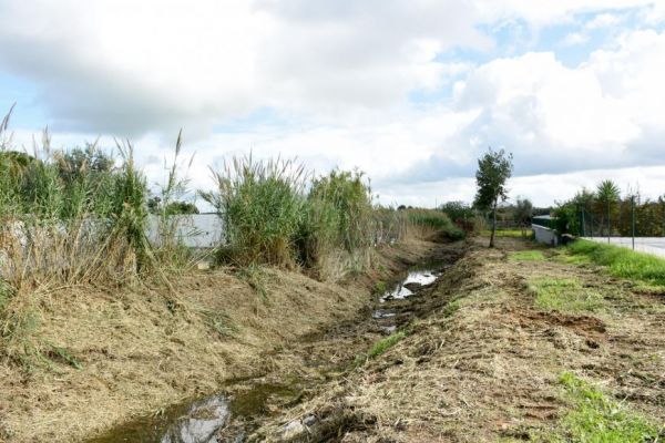 Agência Portuguesa do Ambiente publica normas para a limpeza de cursos de água destinadas a proprietários de terrenos marginais