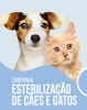 Município de Cantanhede apoia a esterilização de animais de estimação - Campanha decorre de 01 a 31 de maio
